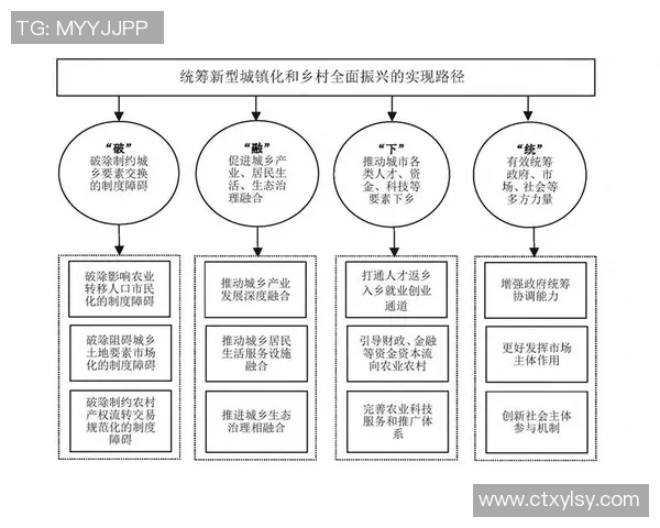 武汉篮球队实力解析:聚焦球队发展与未来挑战